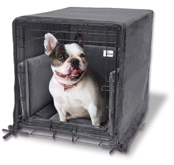 Dog inside a black wire crate with a cover, sitting on a white background