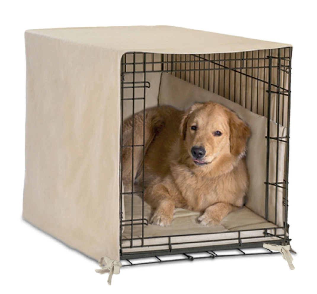 Pet Dreams