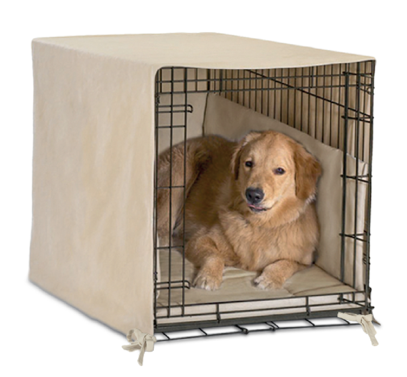 Dog sitting inside a wire crate with a beige cover on a white background