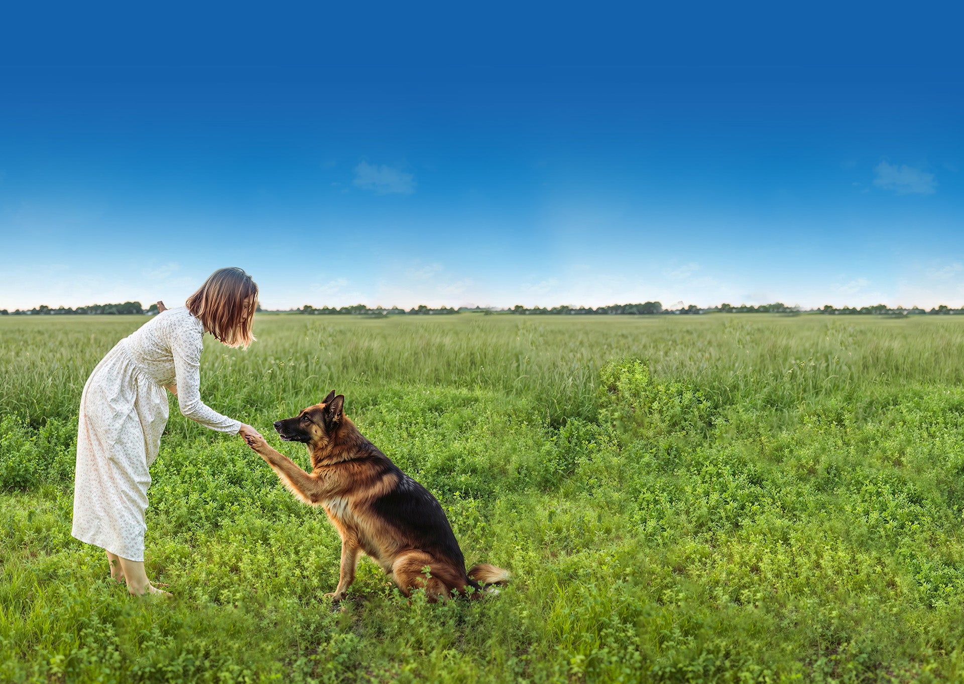 Woman in a white dress interacting with a German Shepherd in a grassy field under a clear blue sky.