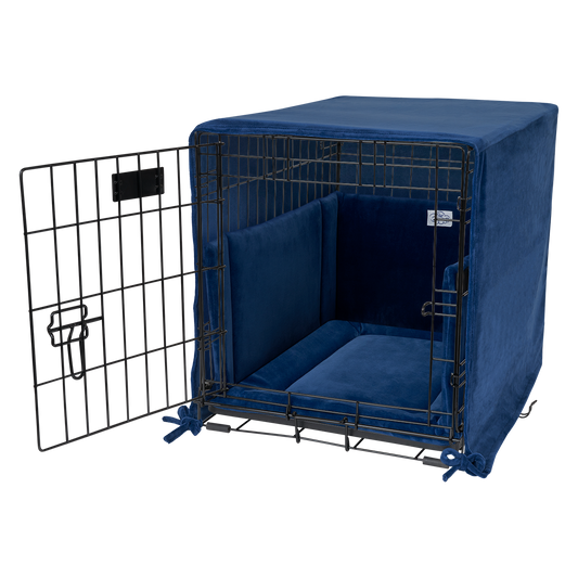 Pet Dreams Test Product